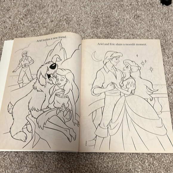 Set of 4 coloring books (2 Disney Princess and 2 adult) - Picture 3 of 16